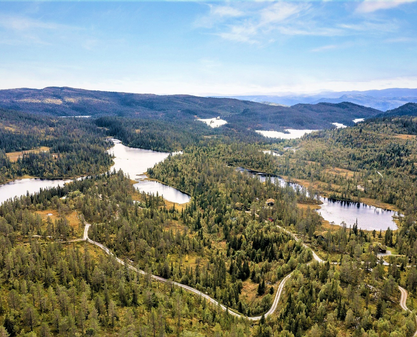 Breiløk, sommer, redigert Sikkerhet i fjellet