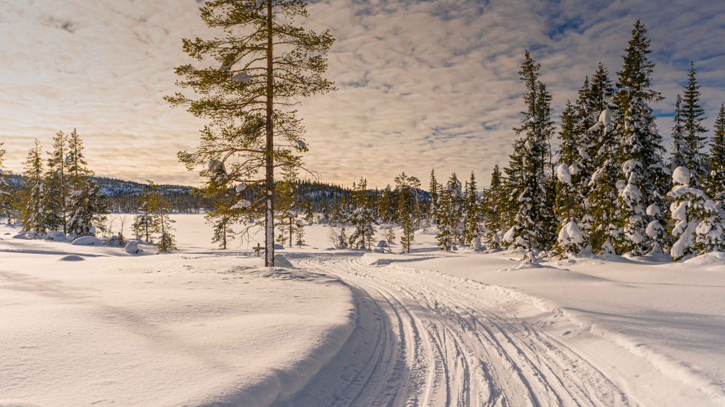 Milevis med skiløyper på Søtelifjell Sikkerhet i fjellet