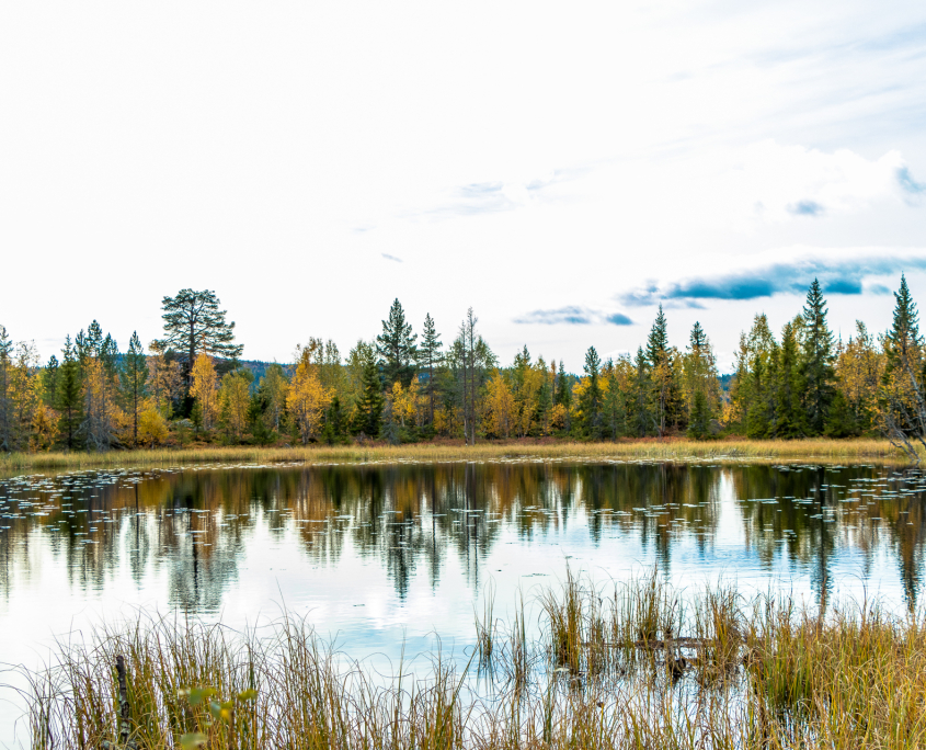 Søtelifjell høst Sikkerhet i fjellet