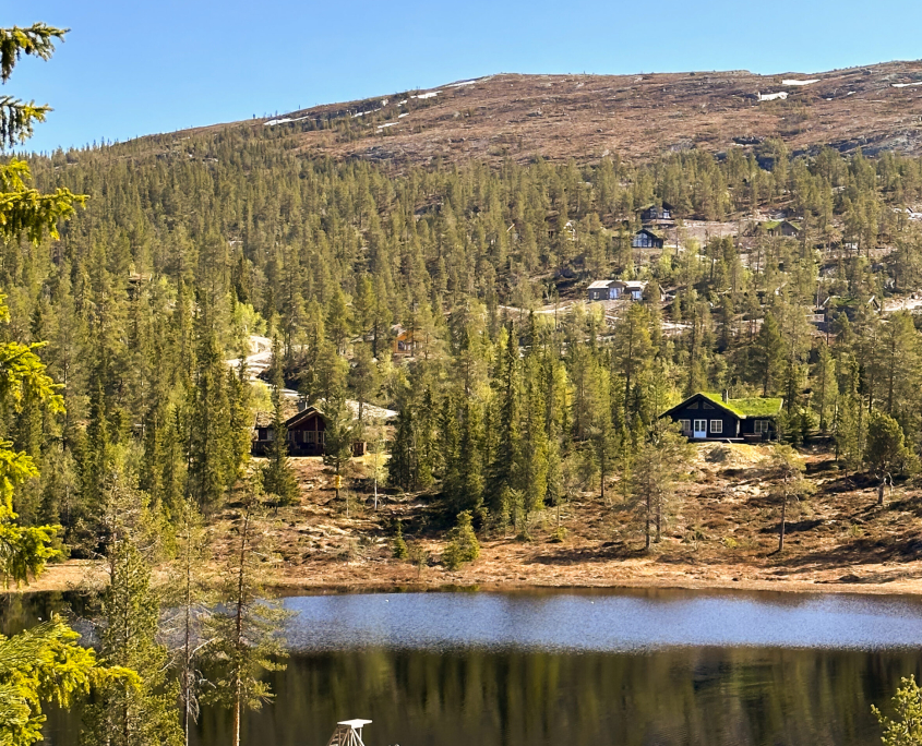 Hytte Søtelifjell